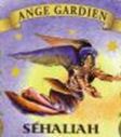 Ange Séhaliah-Séaliah