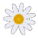 MARGUERITE